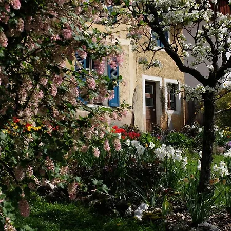 B&B La Foyere